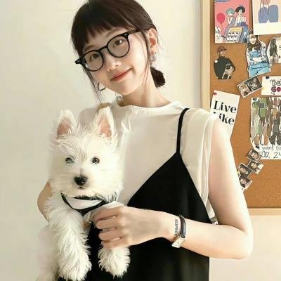 红盾先锋